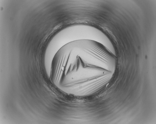 X0000087740260200706041044