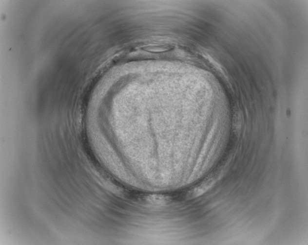 X0000087740261200706041044