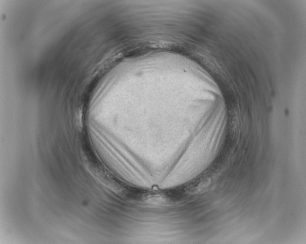 X0000087740262200706041044