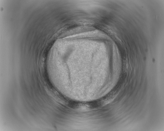 X0000087740263200706041044