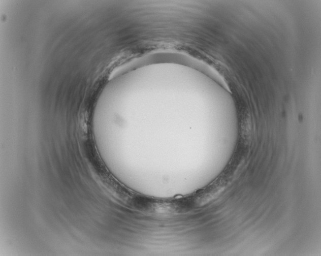 X0000087740264200706041044