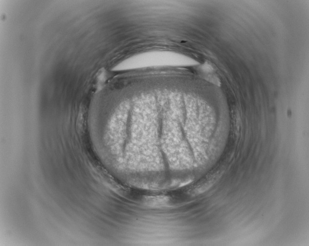 X0000087740266200706041044