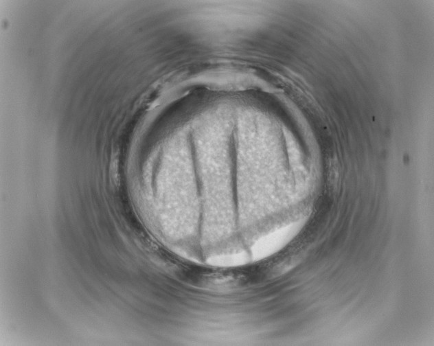 X0000087740267200706041044