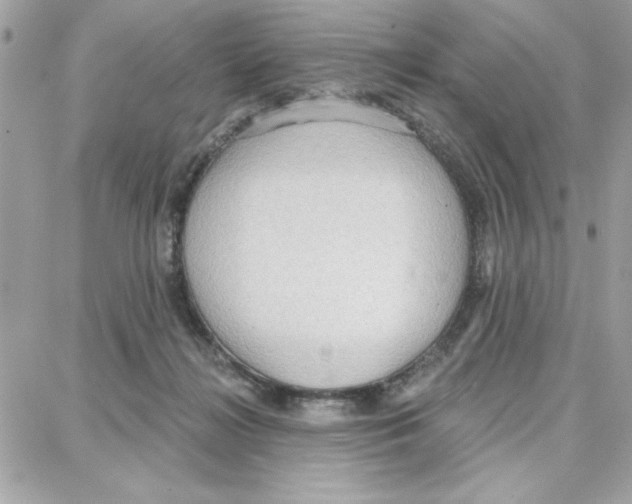 X0000087740268200706041044