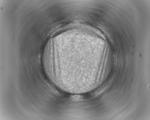 X0000087740269200706041044