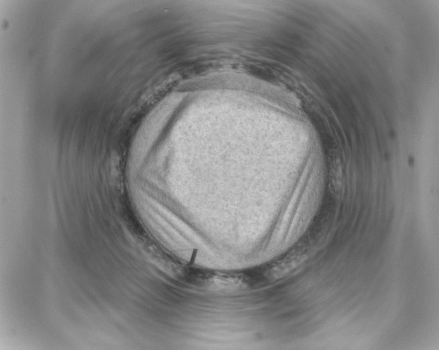 X0000087740270200706041044