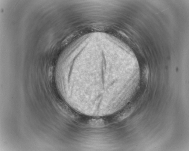 X0000087740271200706041044