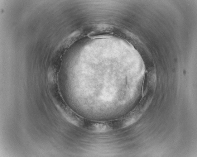 X0000087740272200706041044