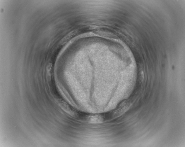 X0000087740275200706041044