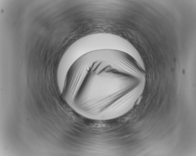 X0000087740276200706041044