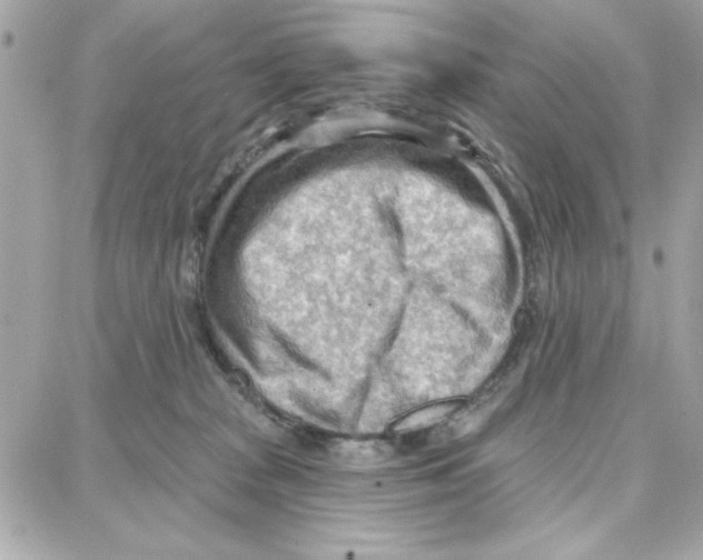 X0000087740277200706041044