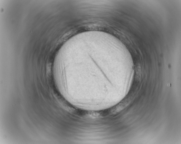 X0000087740278200706041044