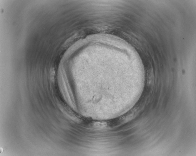 X0000087740279200706041044