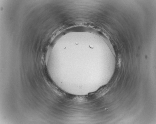 X0000087740280200706041044