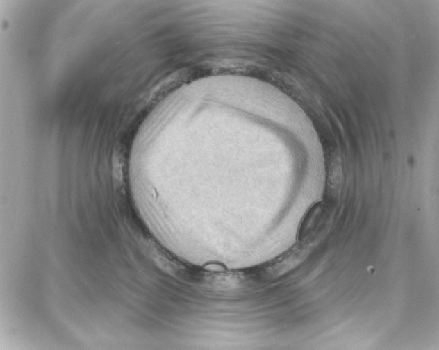 X0000087740282200706041044