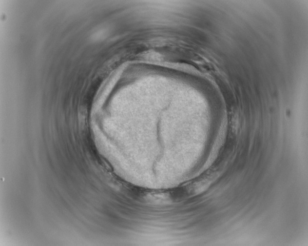 X0000087740283200706041044