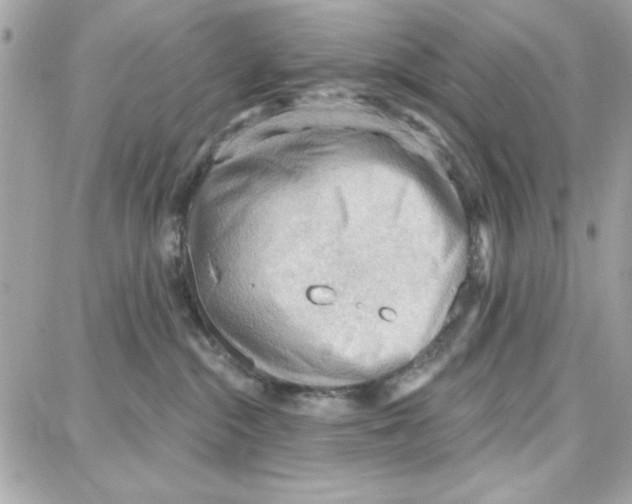 X0000087740284200706041044