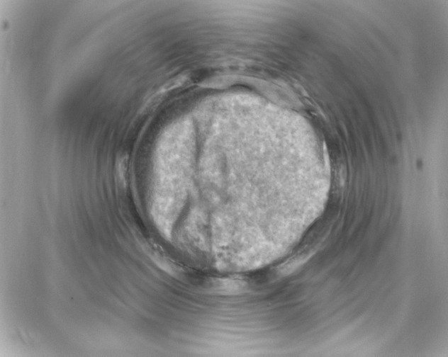 X0000087740286200706041044