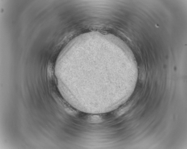 X0000087740287200706041044