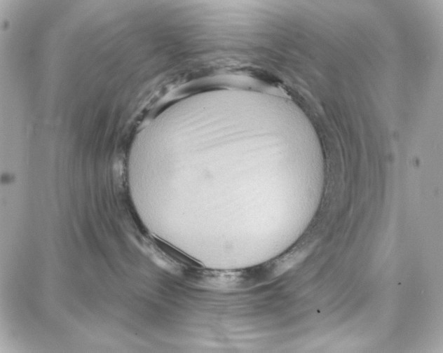 X0000087740288200706041044