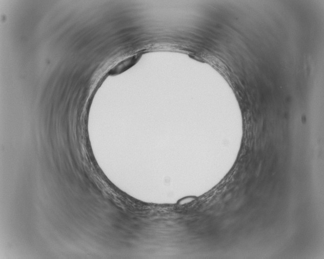 X0000087740289200706041043