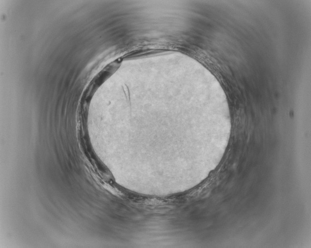 X0000087740290200706041043