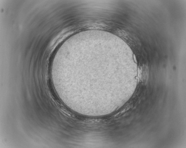 X0000087740291200706041043