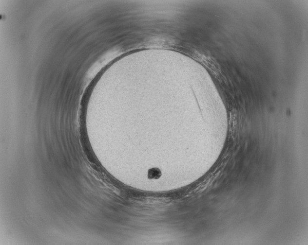 X0000087740292200706041043