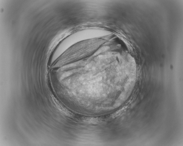 X0000087740293200706041043