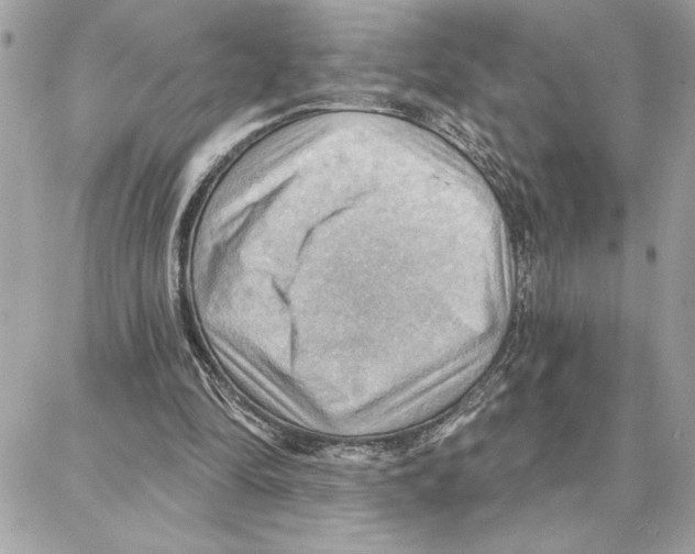 X0000087740294200706041043