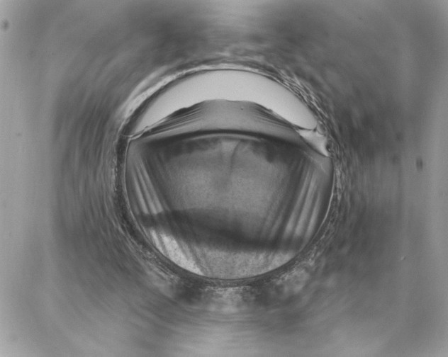 X0000087740295200706041043