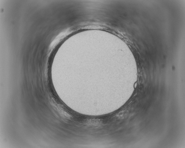 X0000087740296200706041043