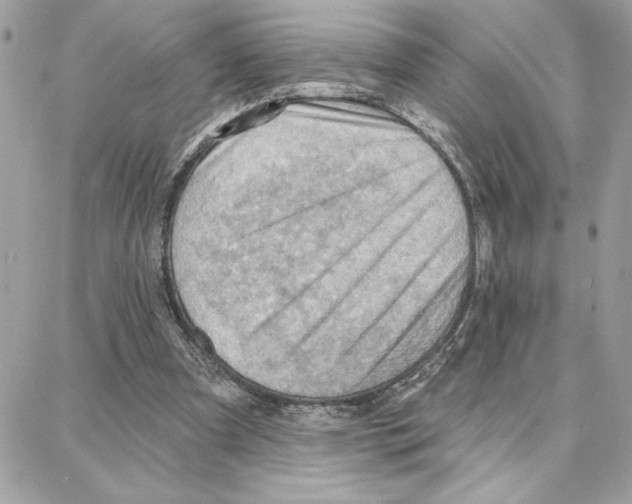 X0000087740297200706041043