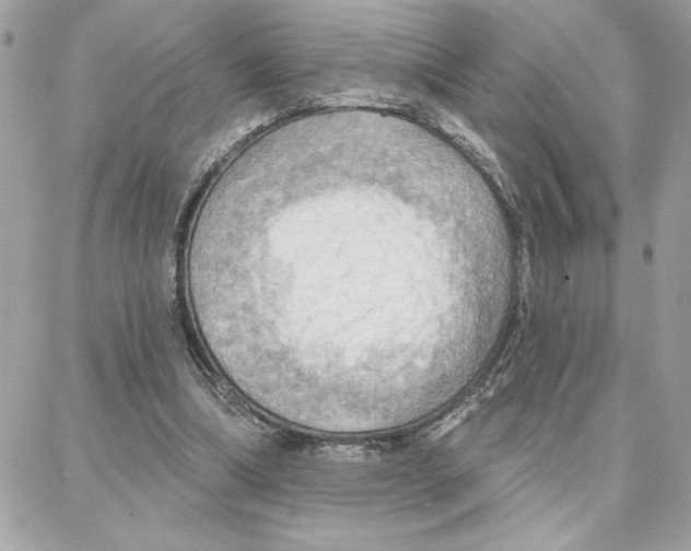 X0000087740298200706041043