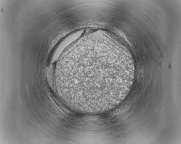 X0000087740299200706041043