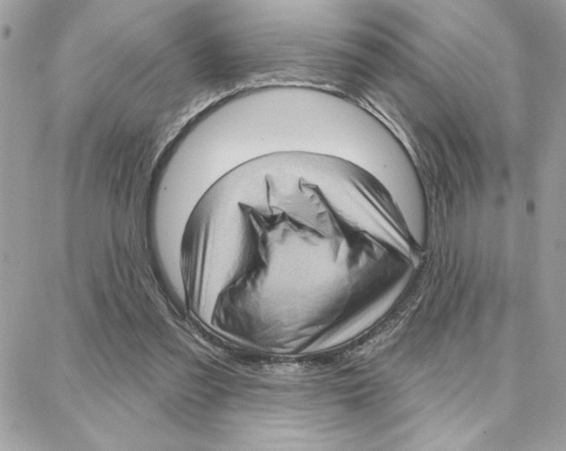 X0000087740301200706041043