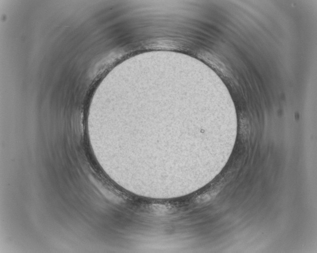 X0000087740302200706041043