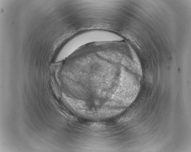 X0000087740303200706041043