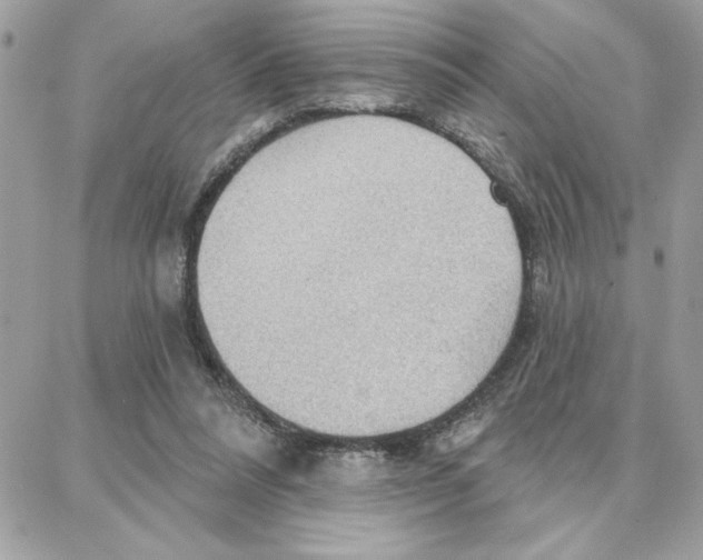 X0000087740304200706041043