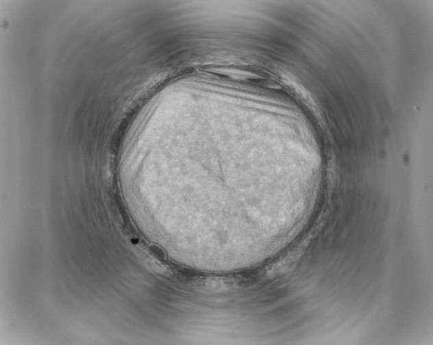 X0000087740305200706041043