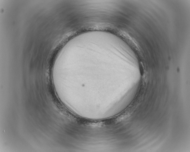 X0000087740306200706041043