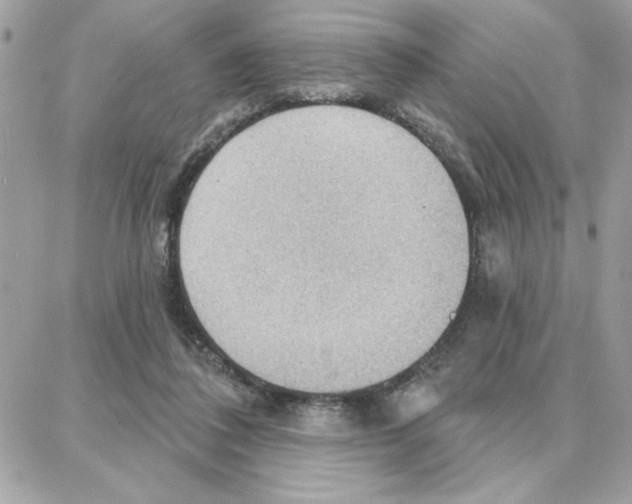 X0000087740308200706041043