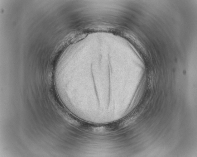 X0000087740309200706041043