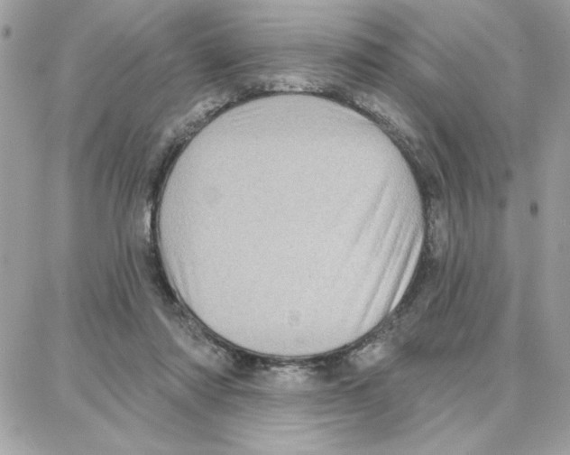 X0000087740310200706041043