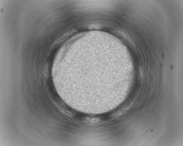 X0000087740311200706041043