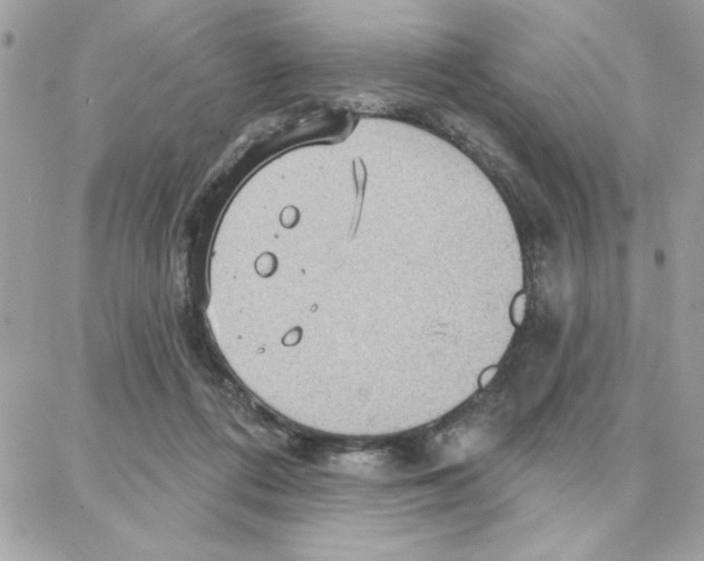 X0000087740312200706041043