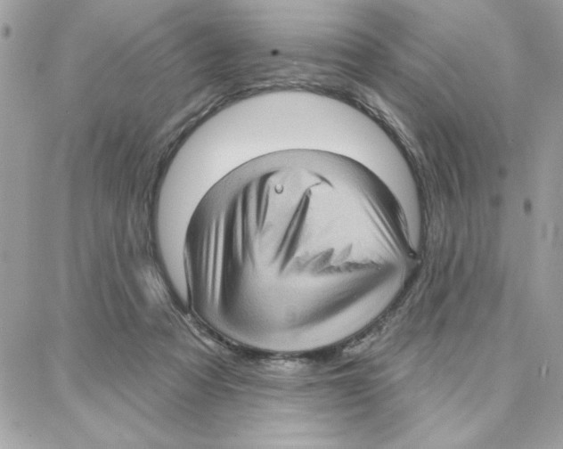 X0000087740313200706041043