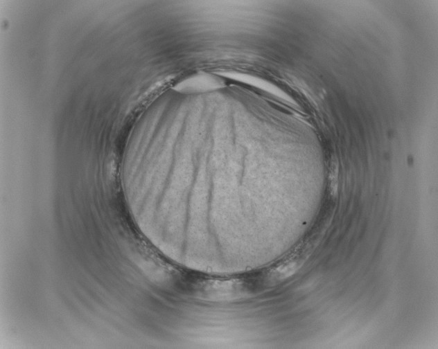 X0000087740314200706041043