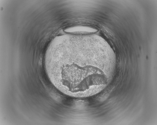 X0000087740315200706041043