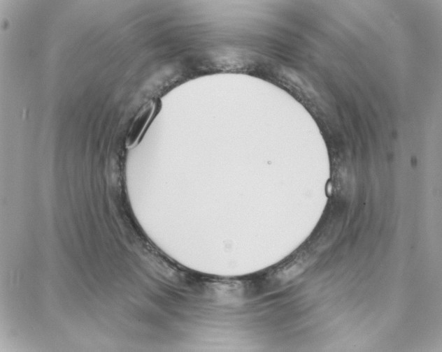 X0000087740317200706041043